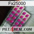 Fx25000 10